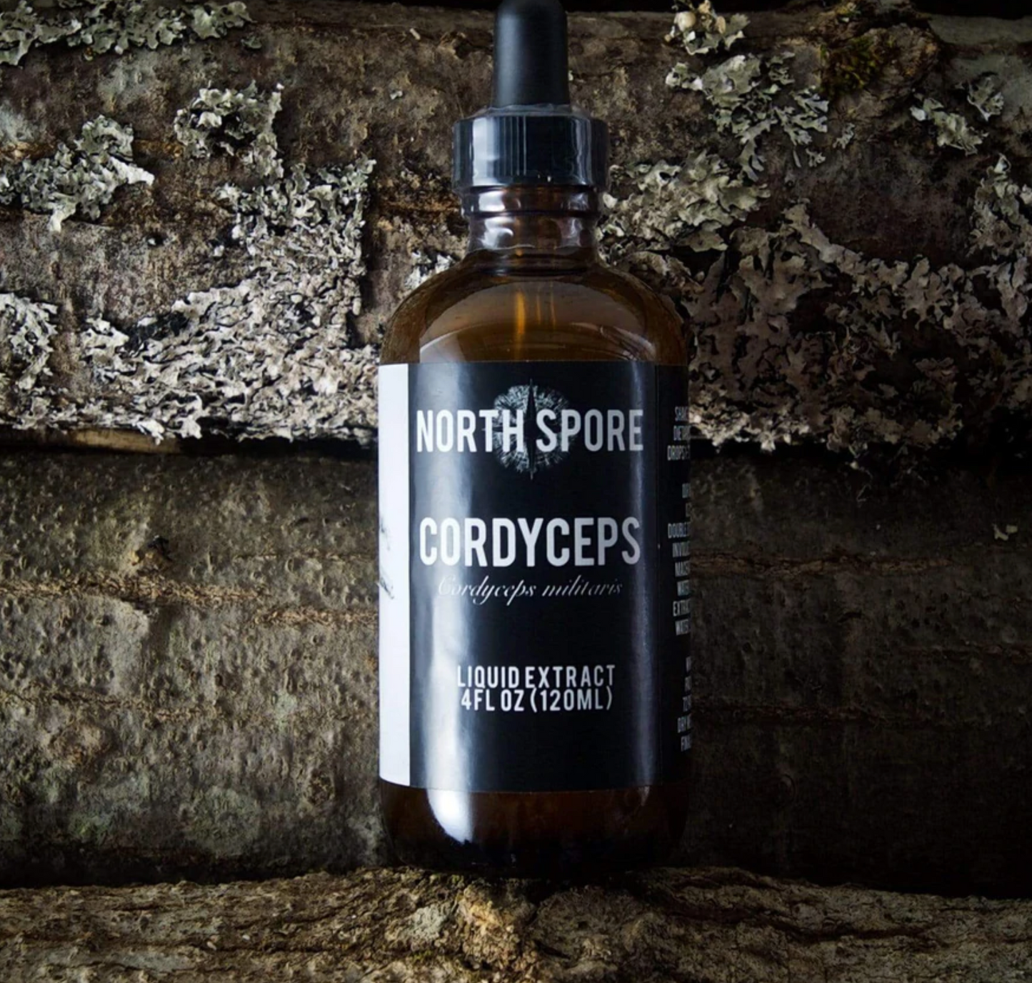 Cordyceps, often referred to as the “Olympic mushroom,” has traditionally been used to help sustain energy, endurance, and vitality.