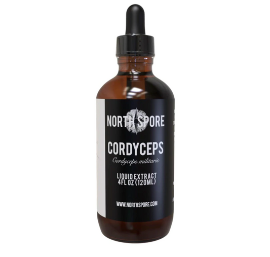 Cordyceps, often referred to as the “Olympic mushroom,” has traditionally been used to help sustain energy, endurance, and vitality.