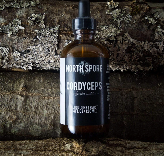 Cordyceps, often referred to as the “Olympic mushroom,” has traditionally been used to help sustain energy, endurance, and vitality.