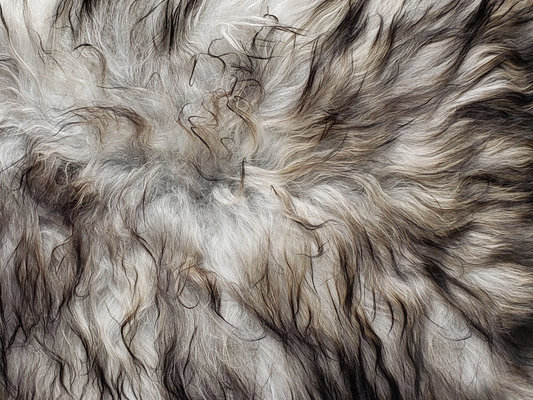 Exotic Icelandic Sheepskin