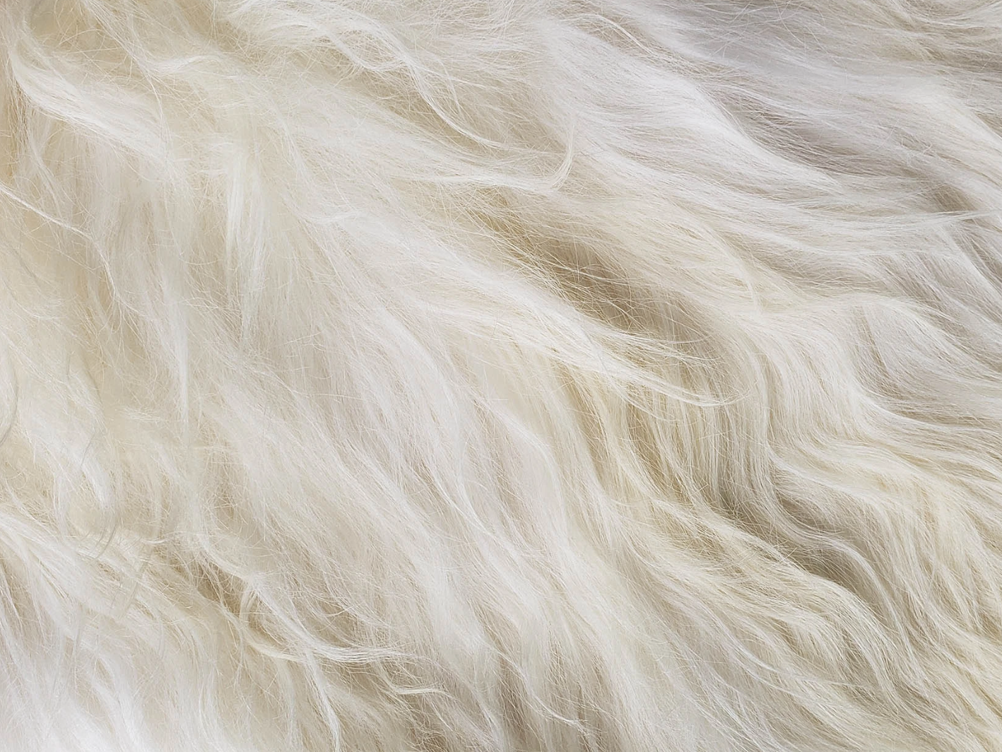 White Icelandic Sheepskin